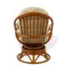 Bali Living Room Set of 3 pieces chair back view