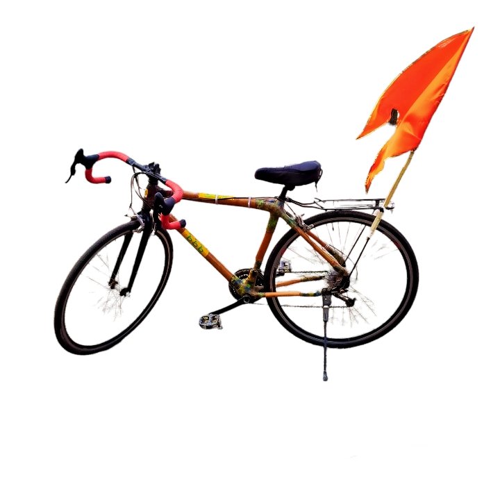 Bamboo Cycle png